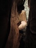 Galerie photo Grottes